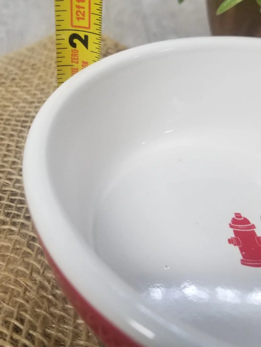 Stoneware Pet Bowl